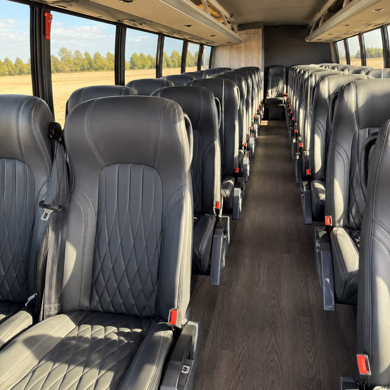 hattiesburg flexible charter bus rentals for hattiesburg sports teams and fans